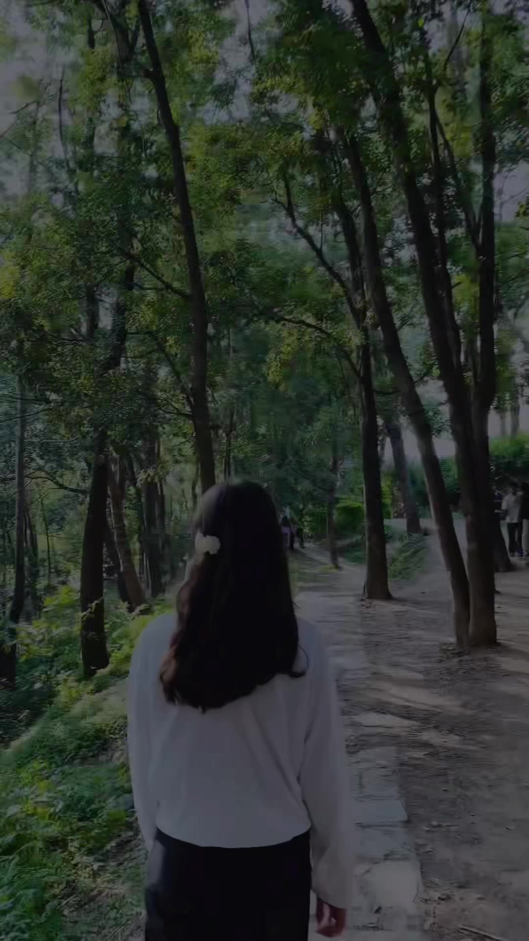 @yasu.aura✨