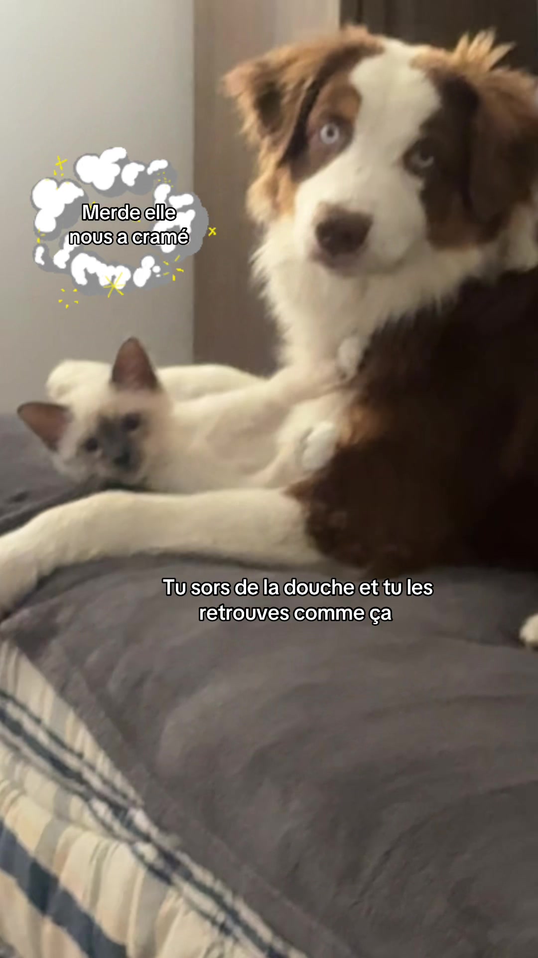 @Bubalu & Mum 🐶