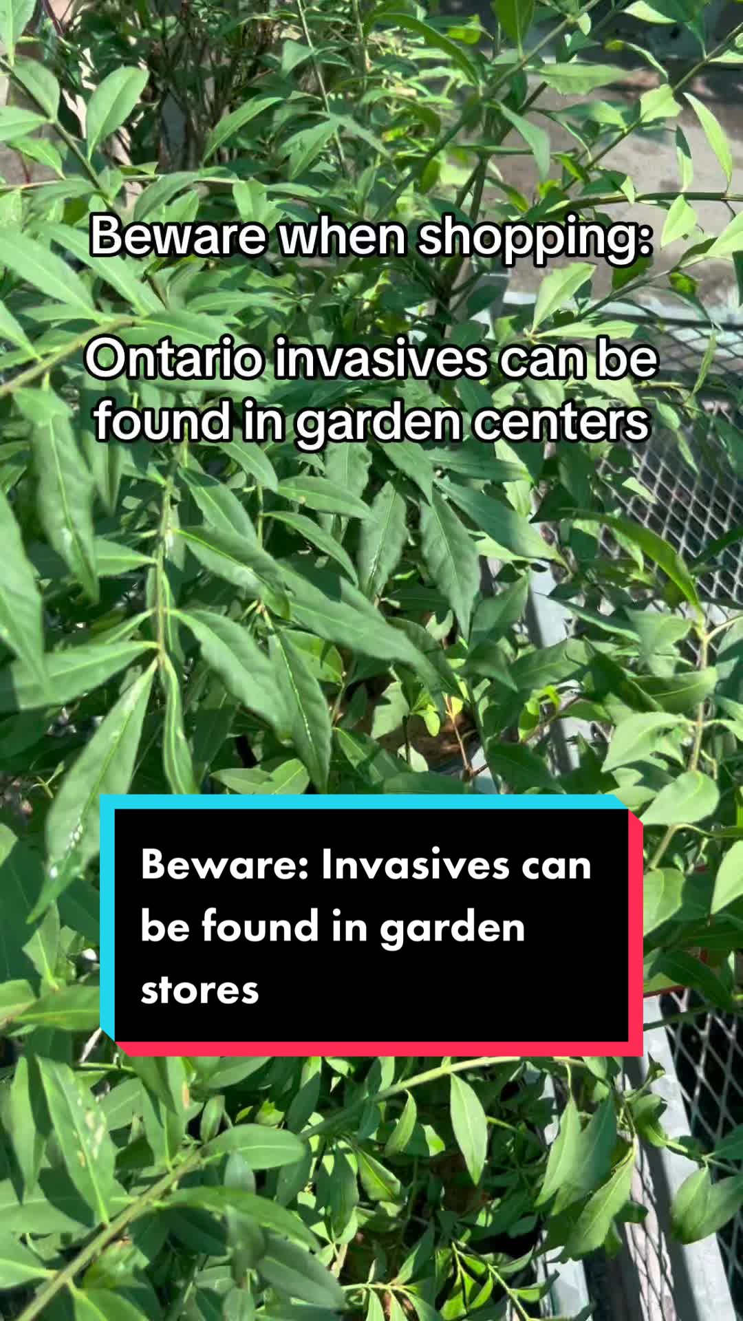 @Invasive Species Centre