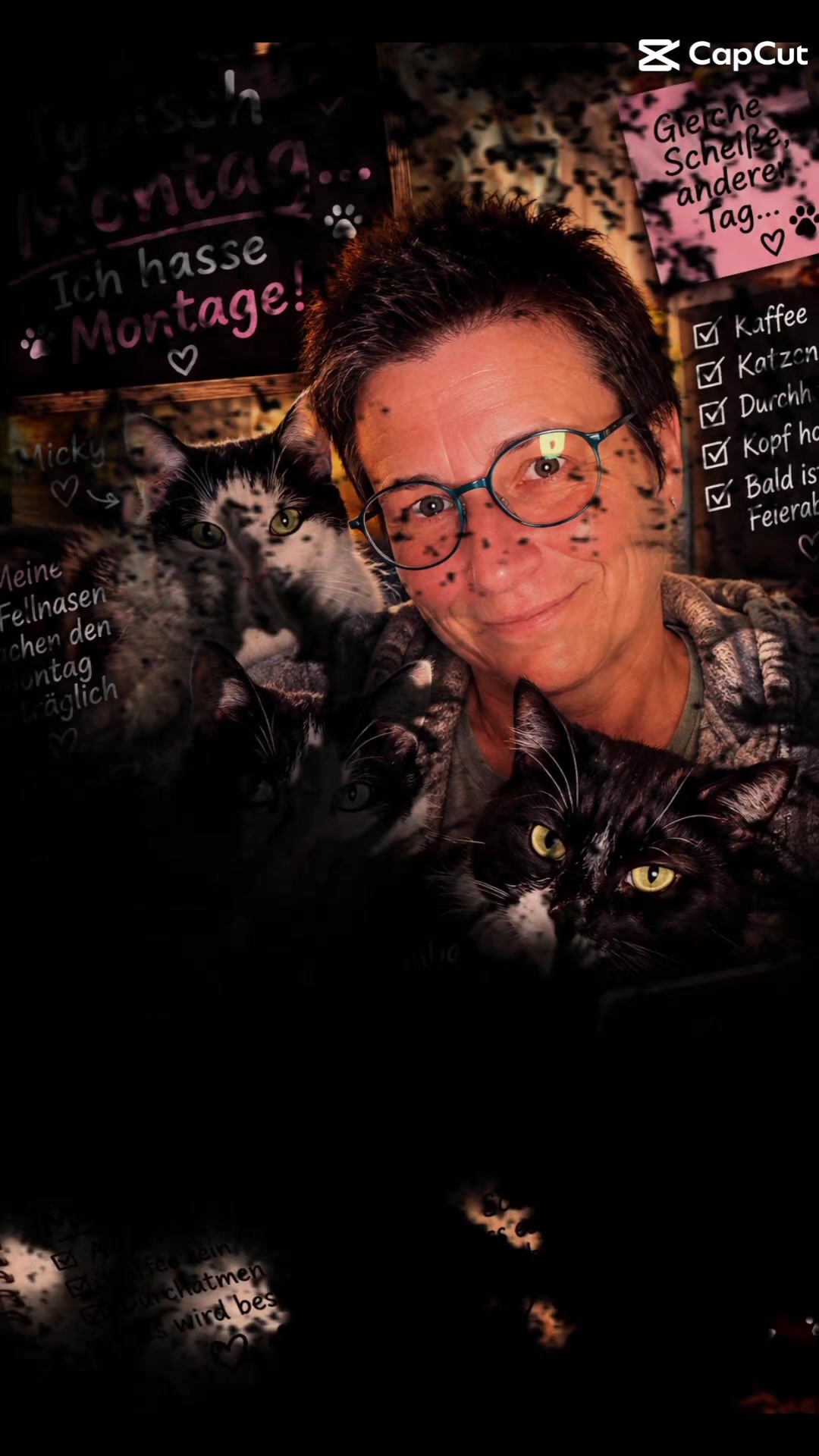 @Melanie Burg katzenstein😻😺😽
