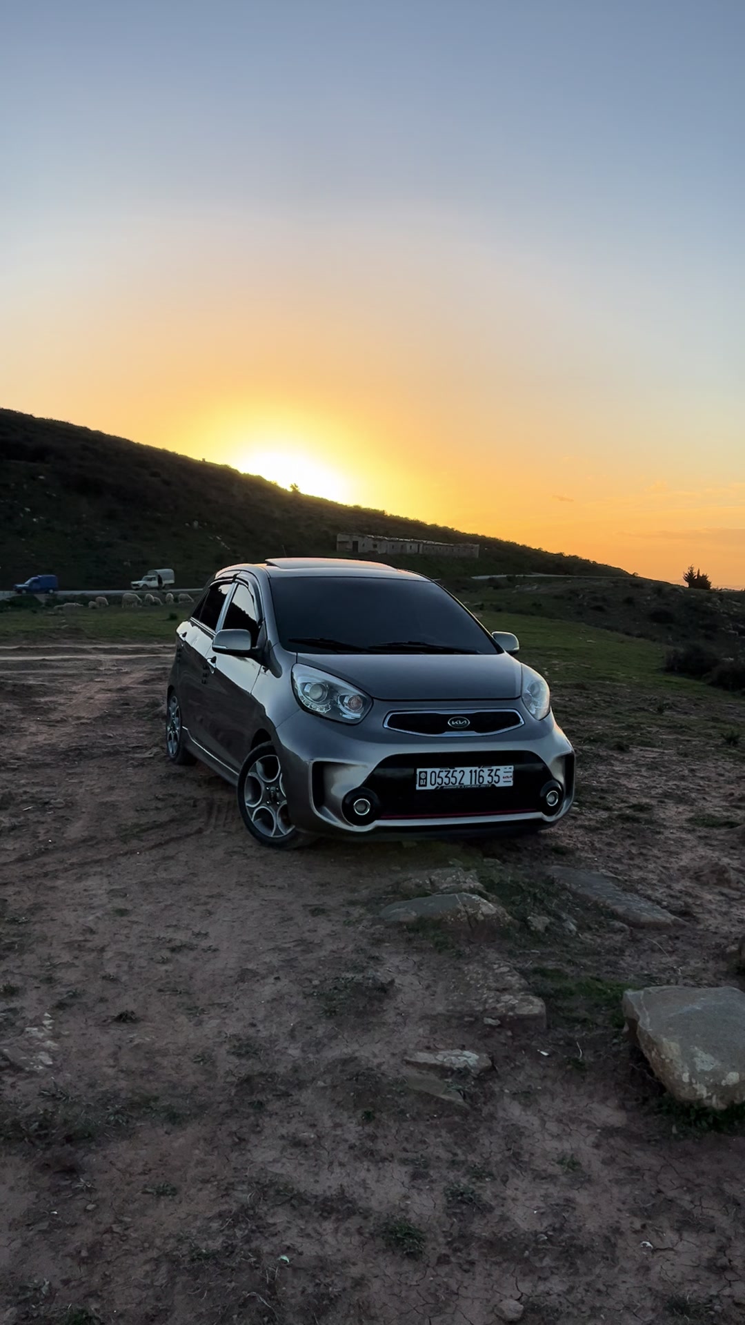 @anis picanto