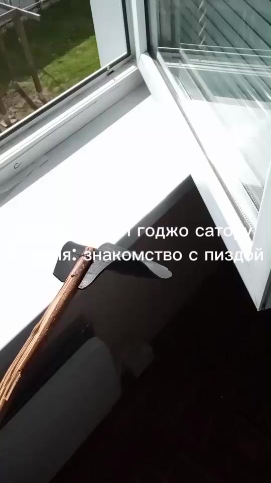 @кабан кузя