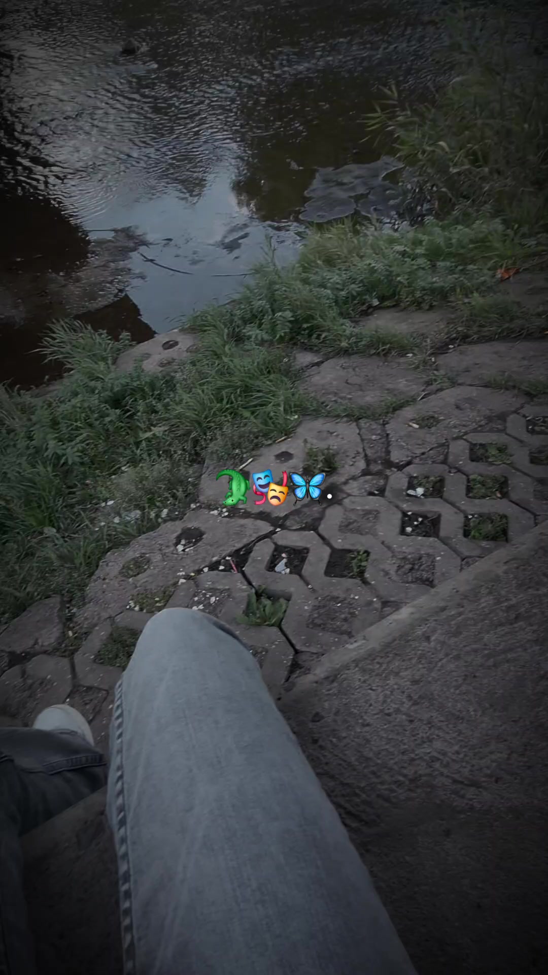 @<~🦋🎭🐊~>