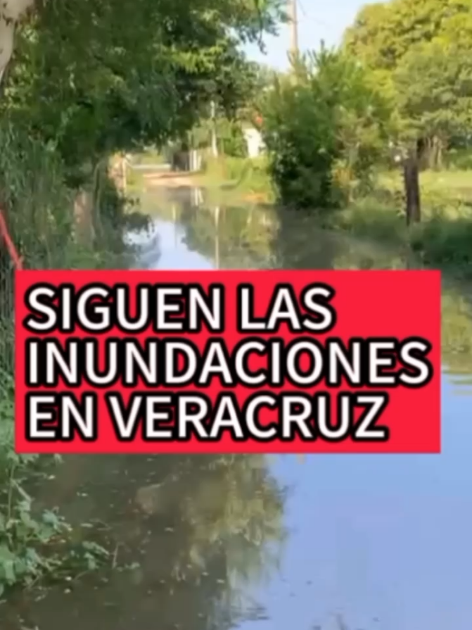 @ELCONTAALFREDO