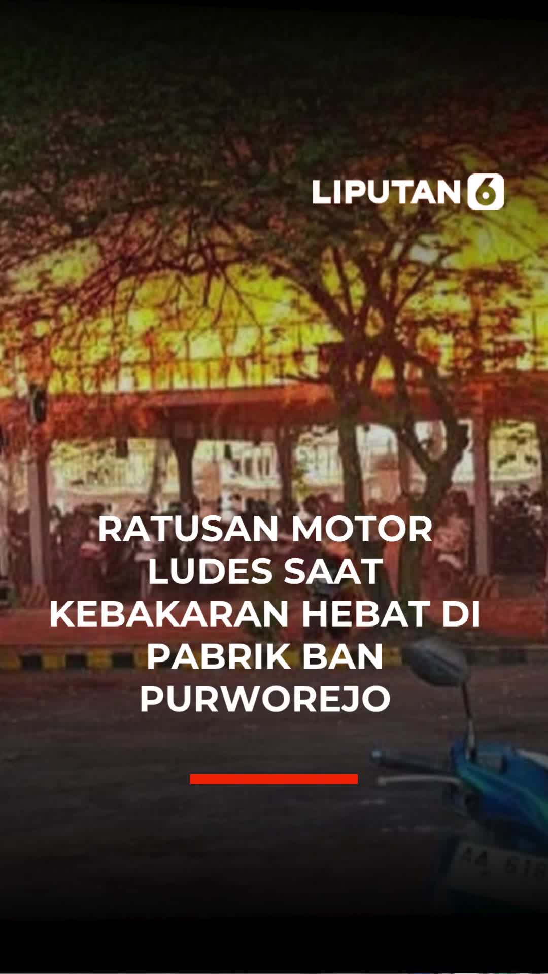 @liputan6.com