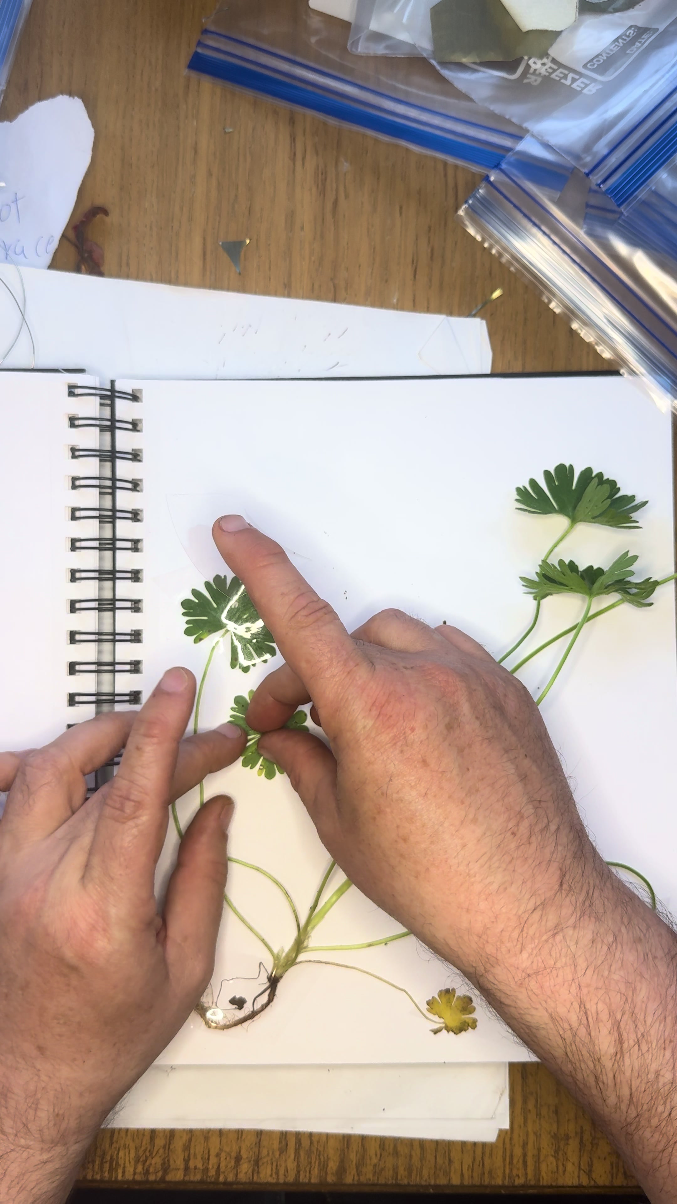 @kirkmaxson