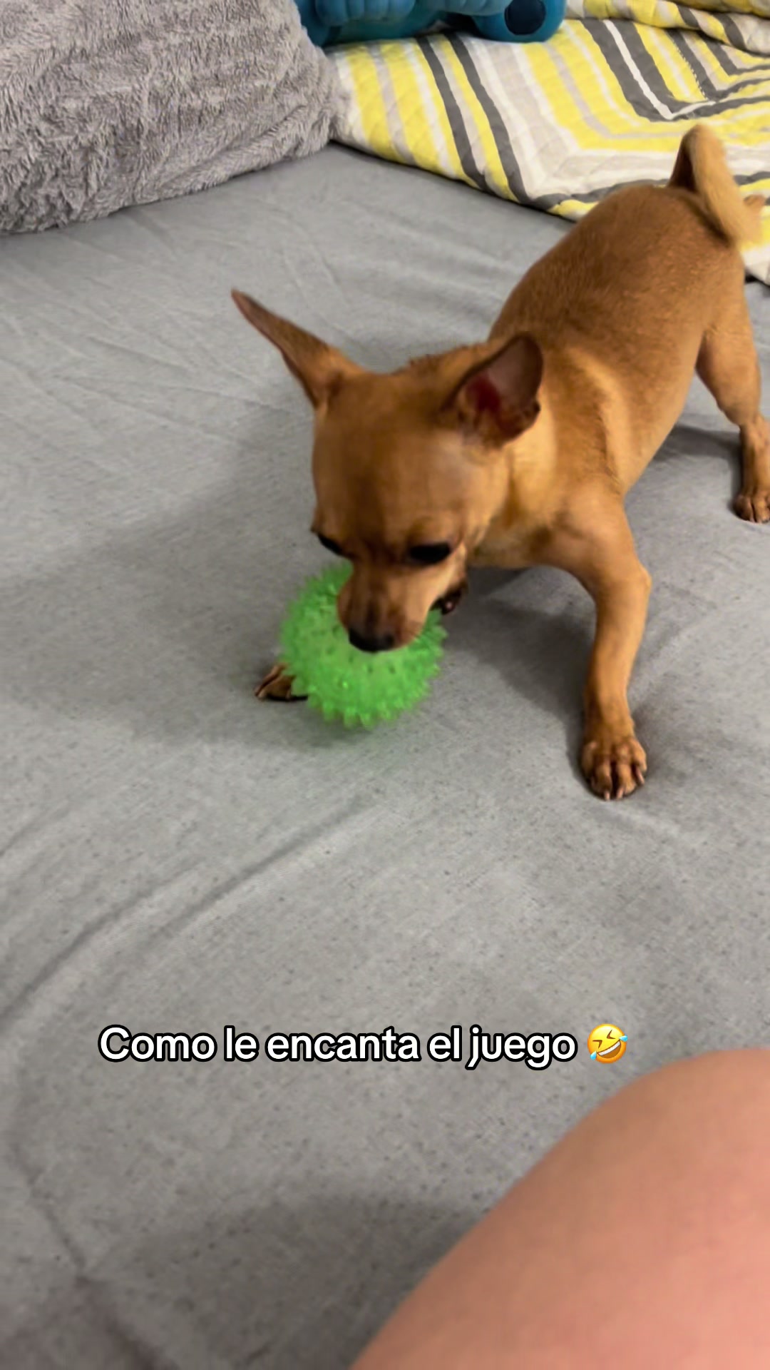@Gloria Hernandez