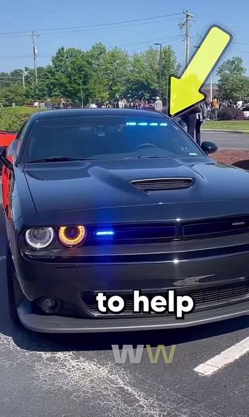 @seanempire1