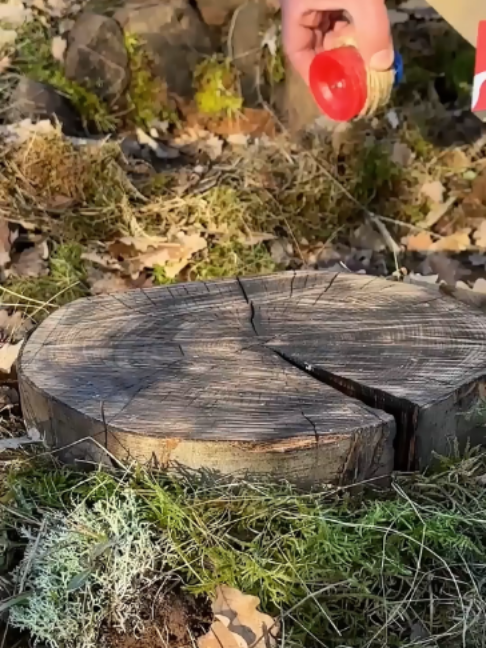 @Survival Skills TV