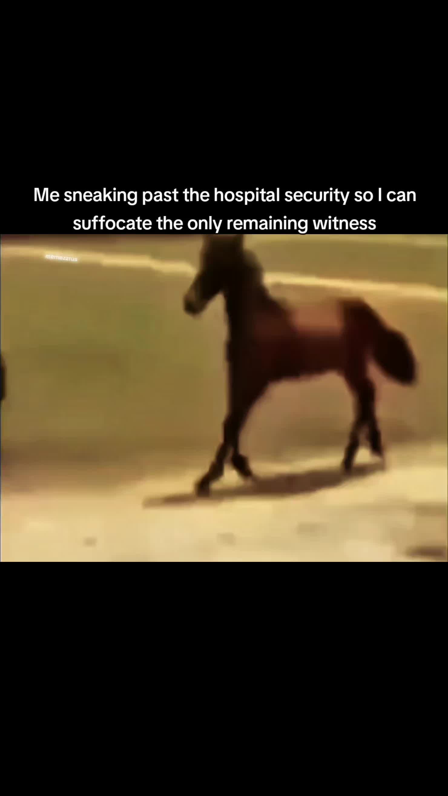 @Memezz.R.Us