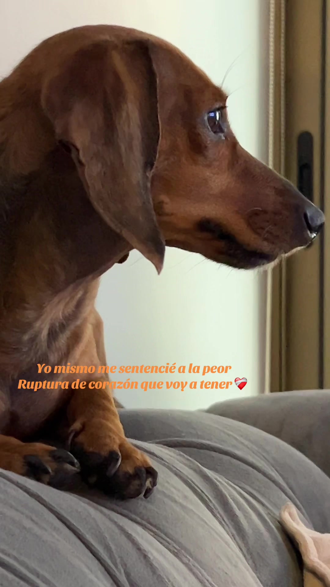 @Bernardo Muñoz A