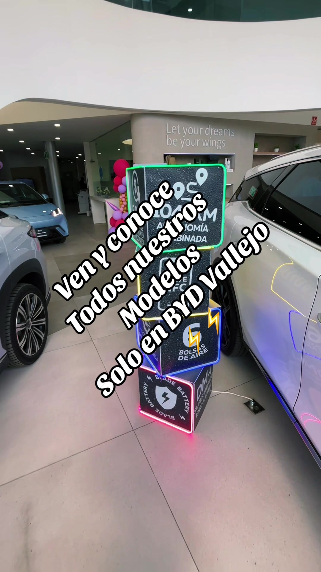 @El Rey de BYD