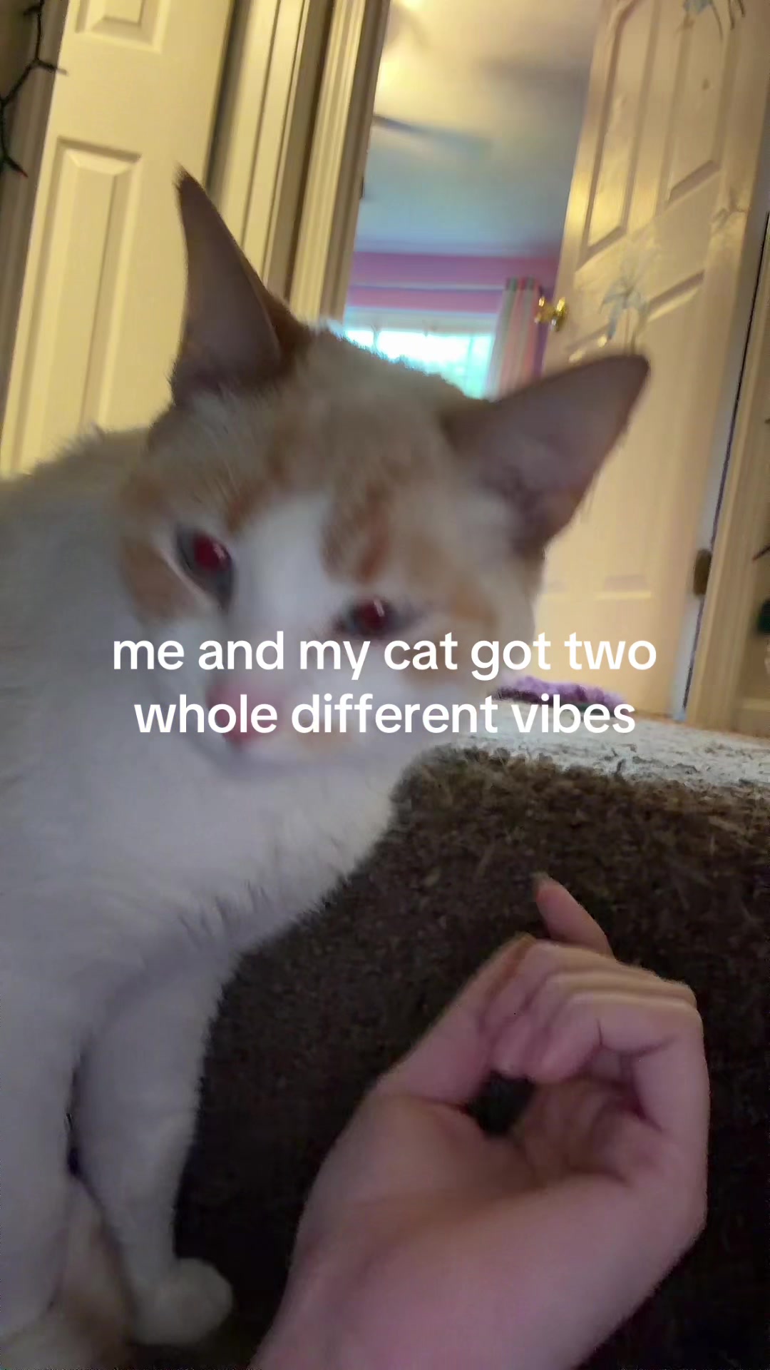 @nakita