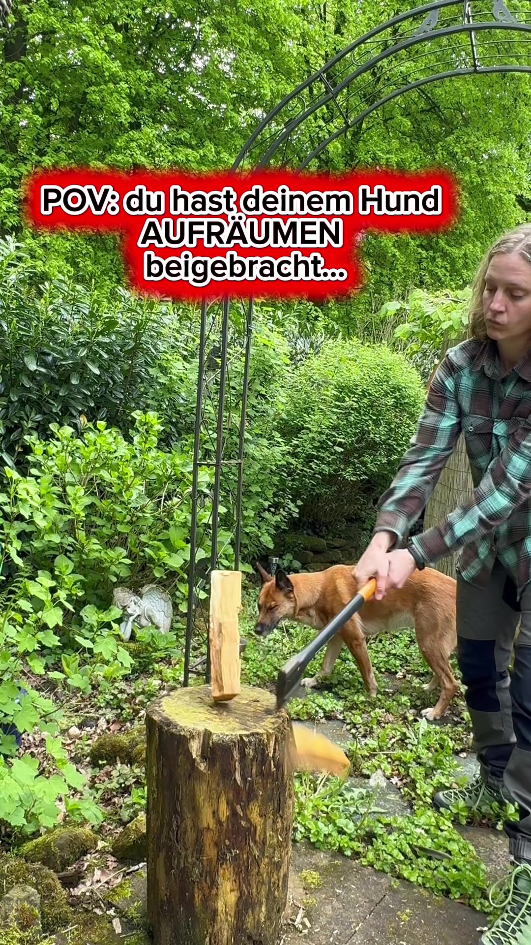 @INSAbenteuerHund