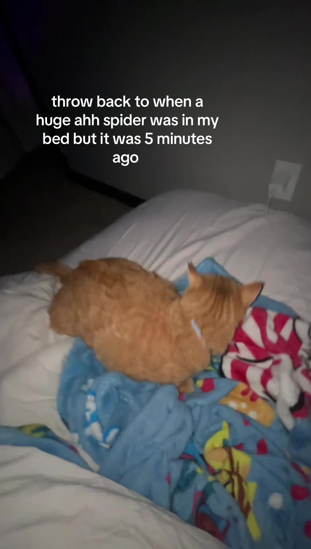 @🦄❓