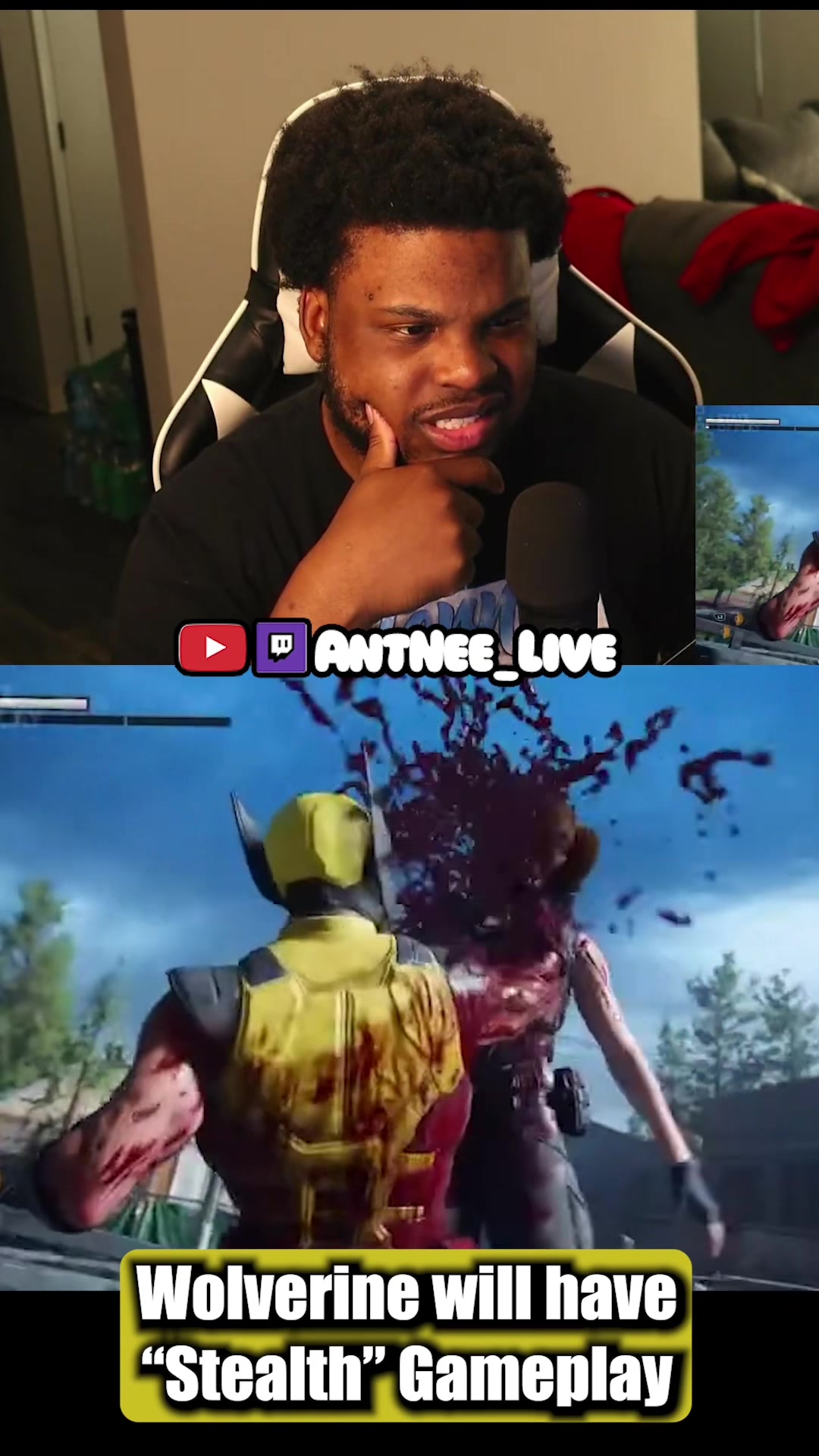 @AntNee Live