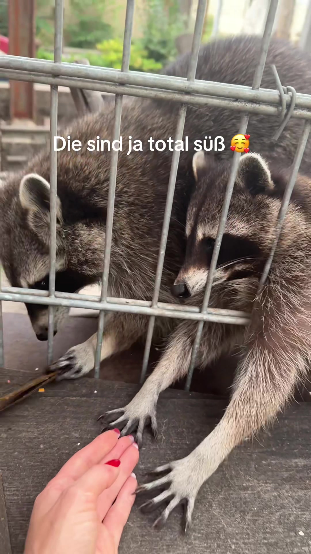 @Tanjа