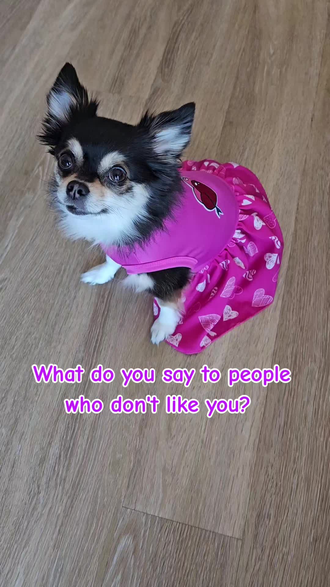 @Pawsha