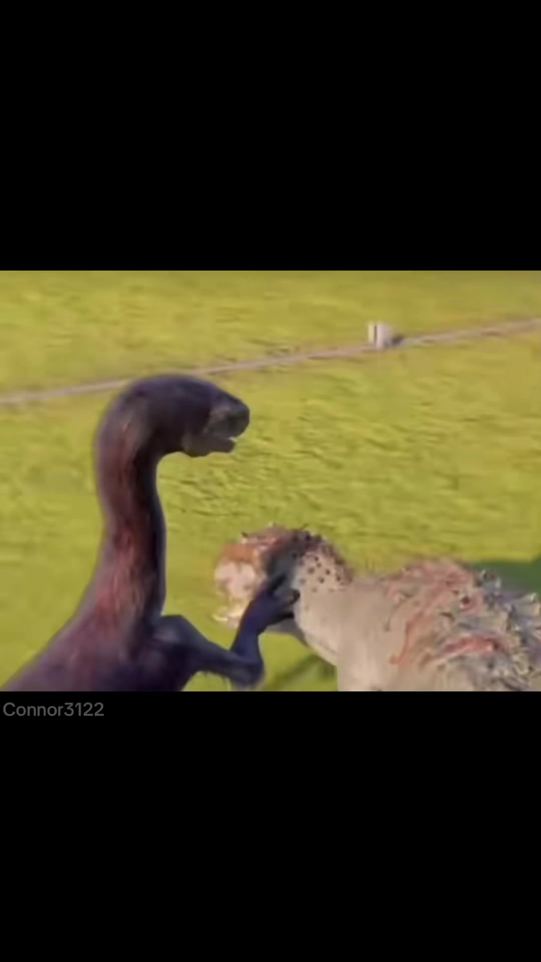 @Pukeko