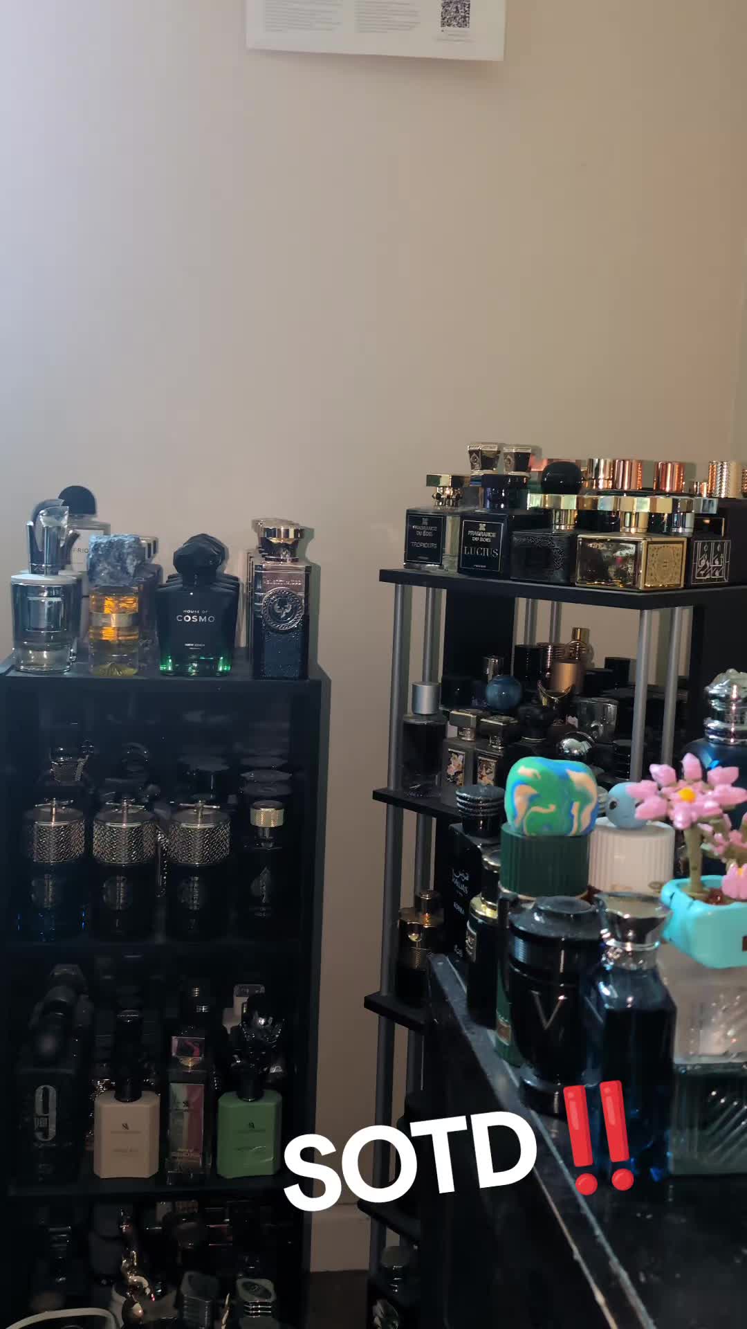 @ScentGod5