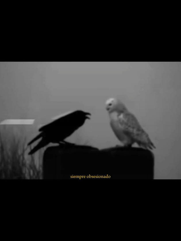 @deadinside.