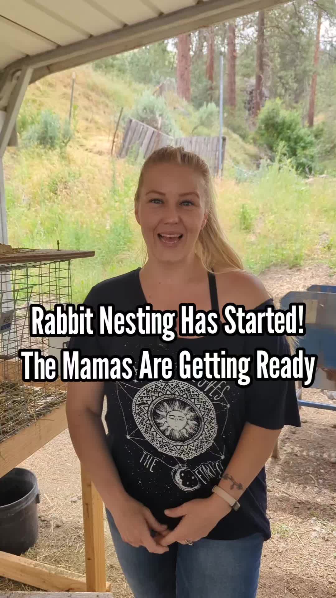 @MountainSpringHomestead