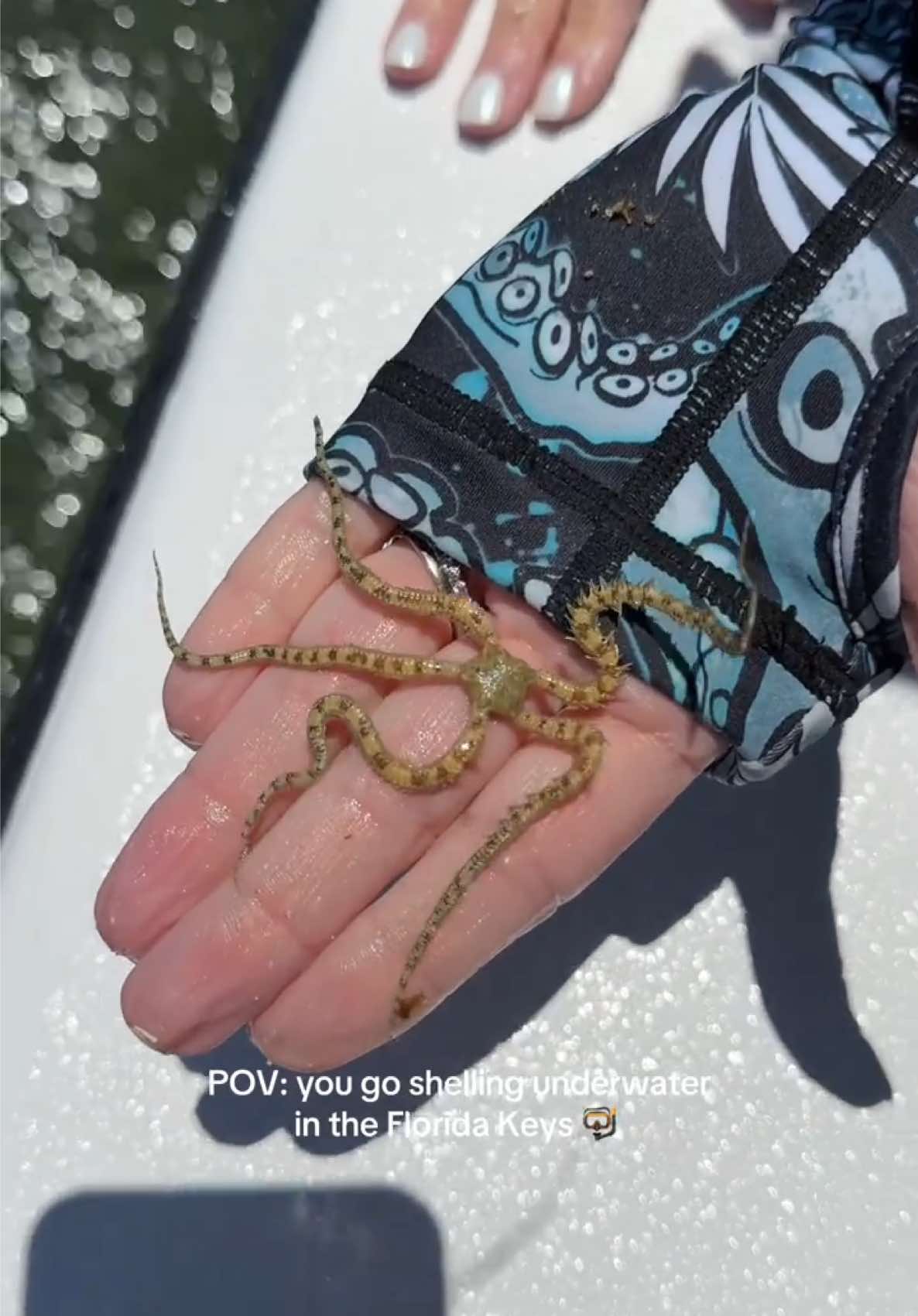 @🐚Jojo🌴