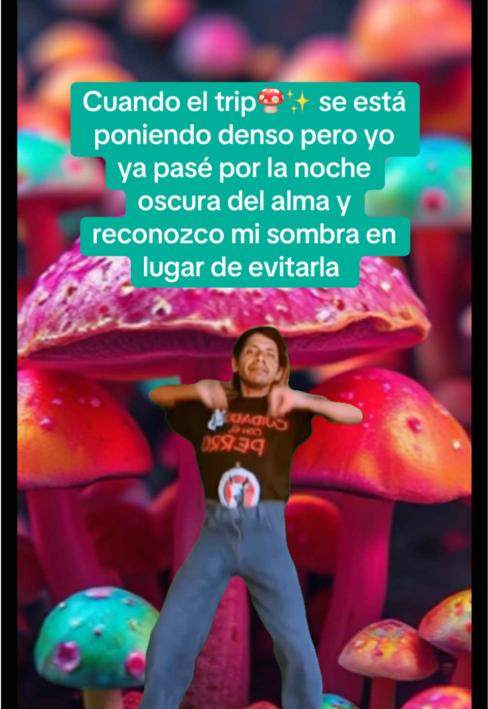 @Diario de una antena