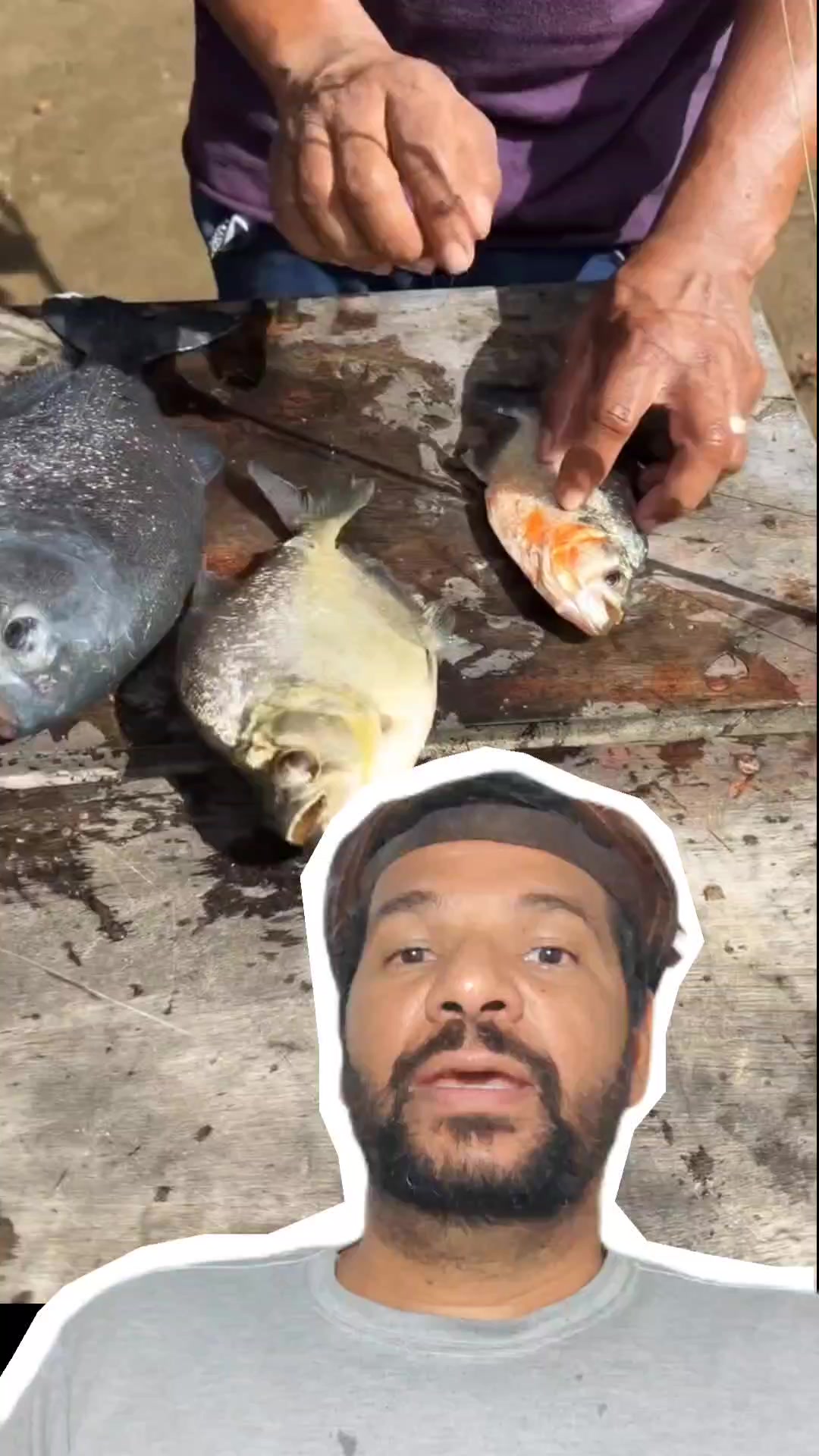@PeixesdaCaatinga
