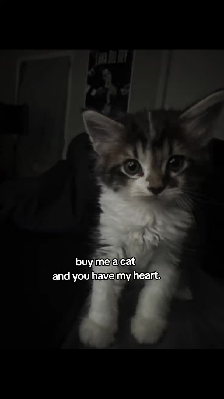 @KJ .