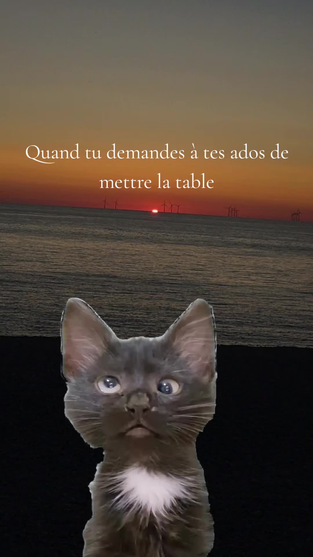 @Ang&eacute;lique Hauchard
