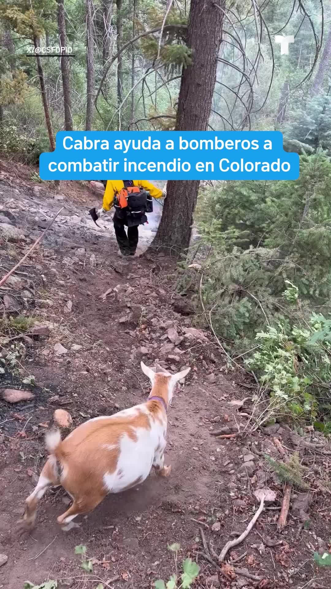 @telemundosandiego