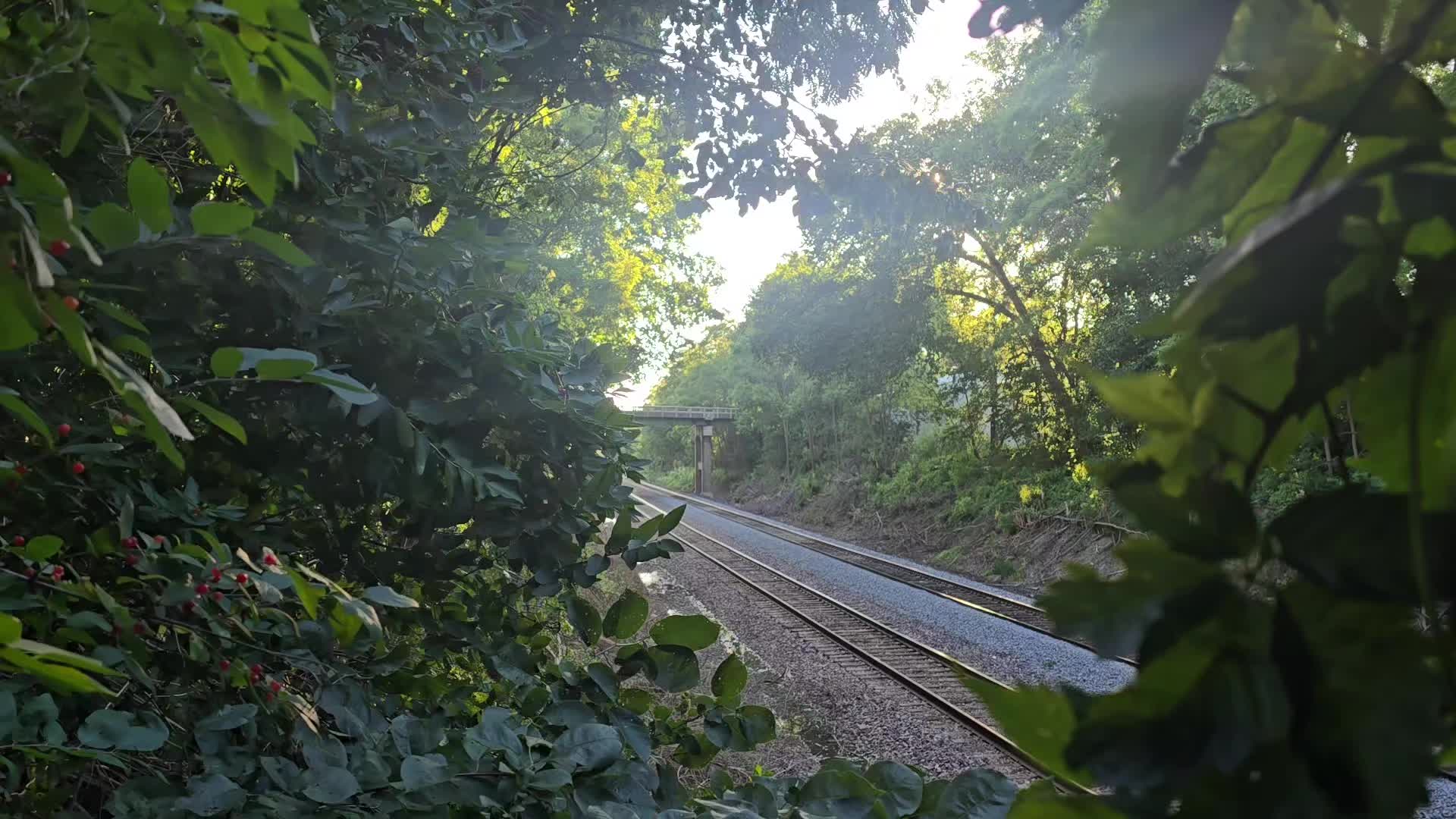 @Eastern Iowa by Rails📷🚂🚗