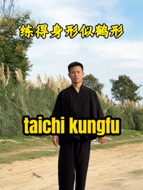 @taichituan