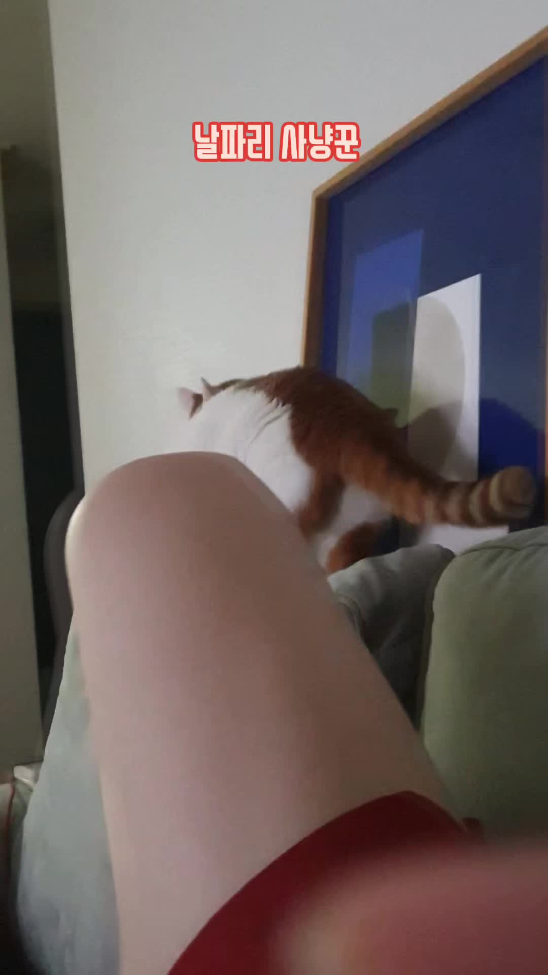@이폭간