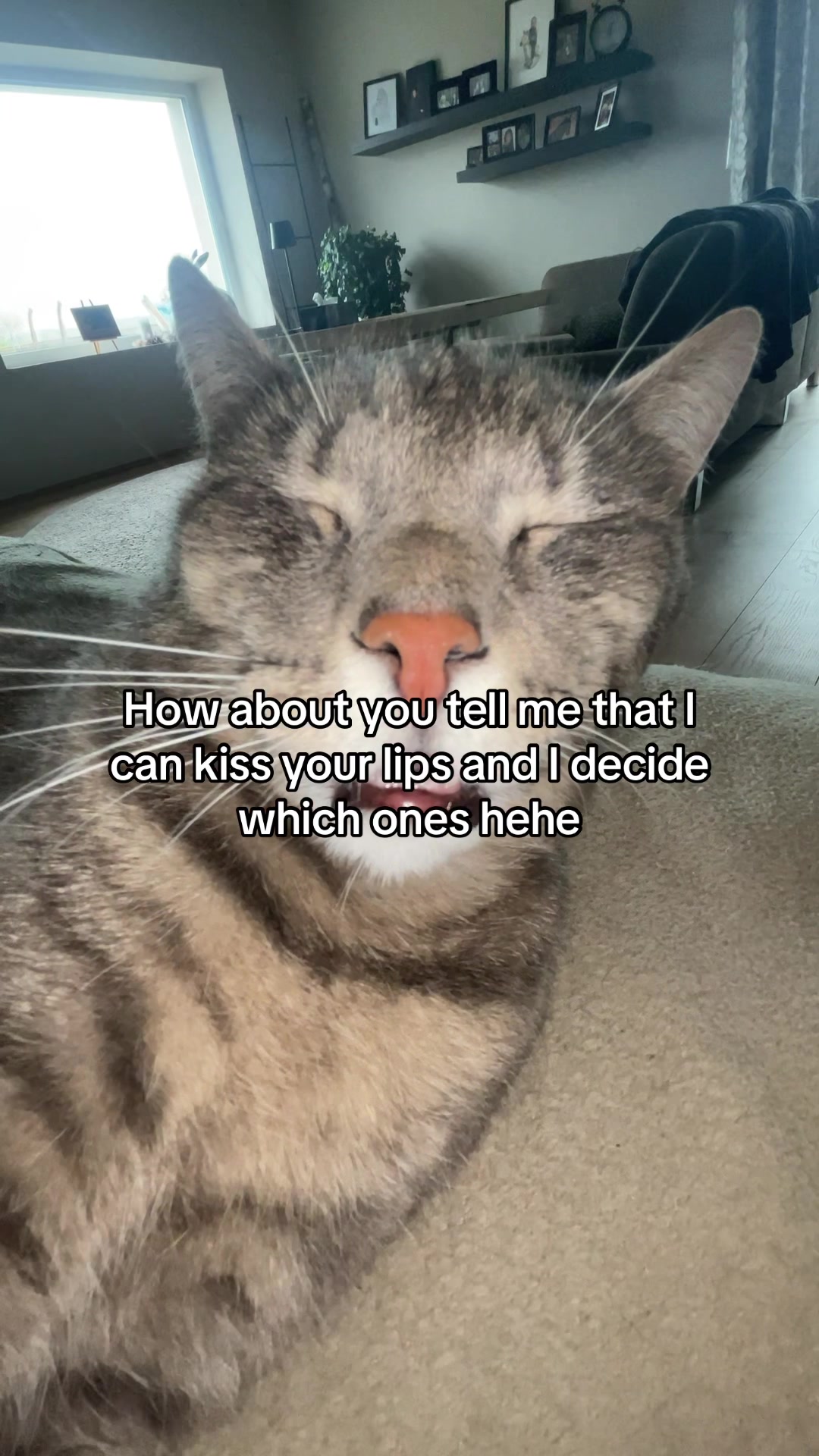 @Micky