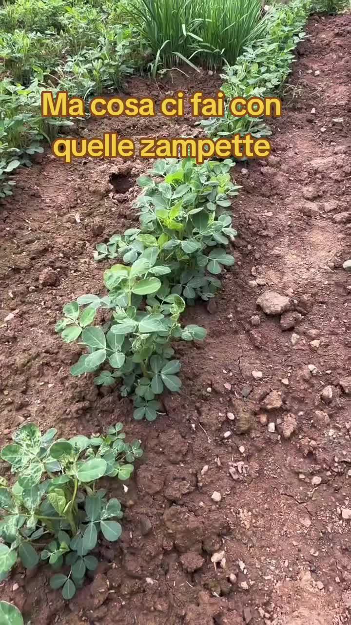 @STILE.SOTTILE