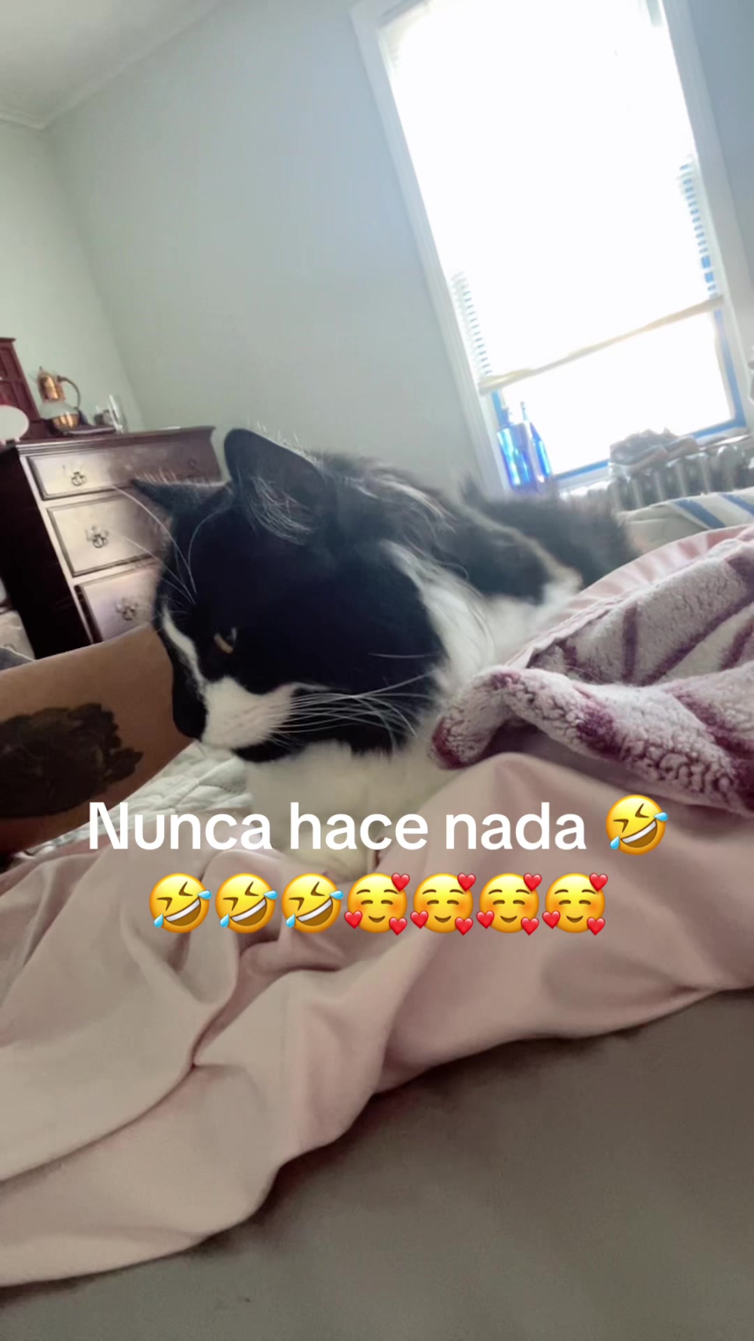 @Consuelo S