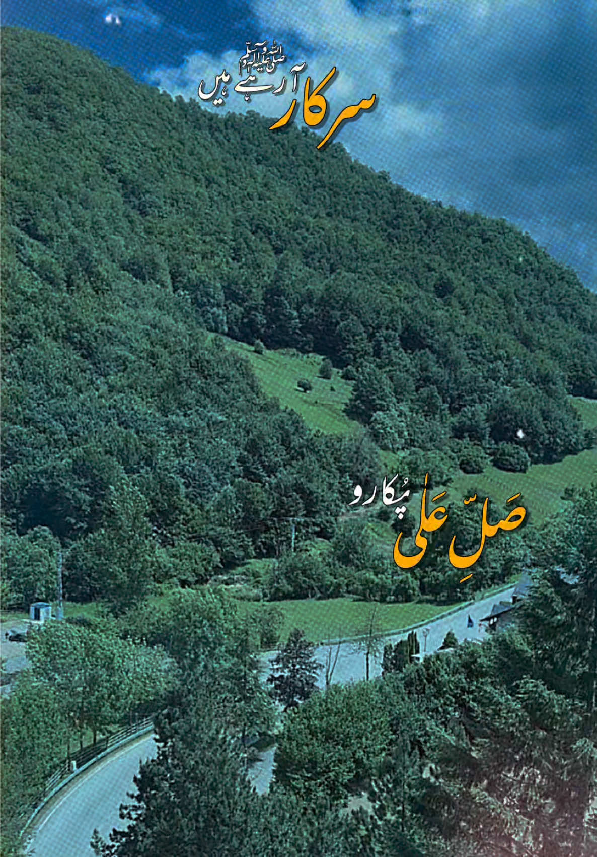 @Dr Sana 4696