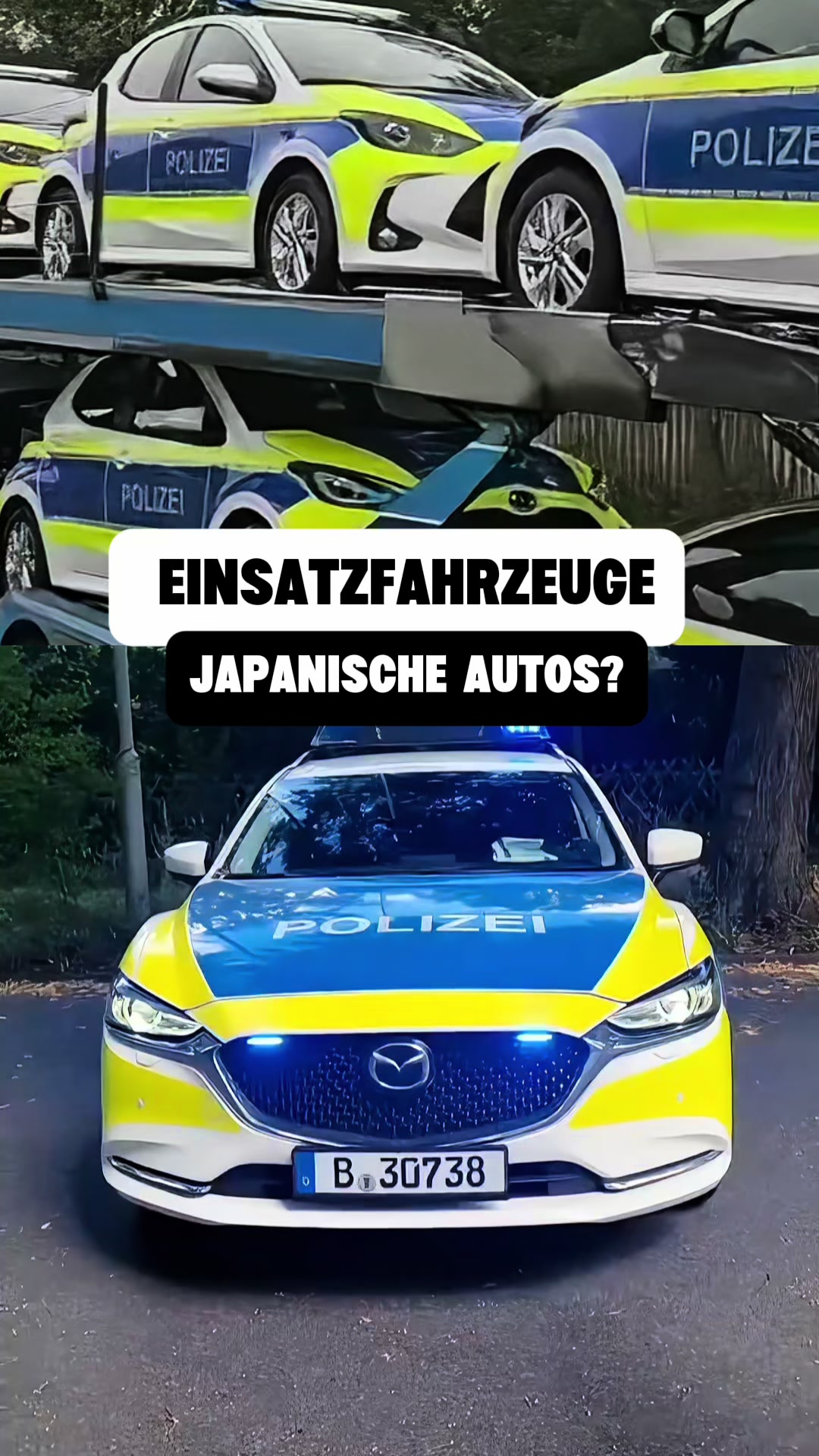 @auto.professor