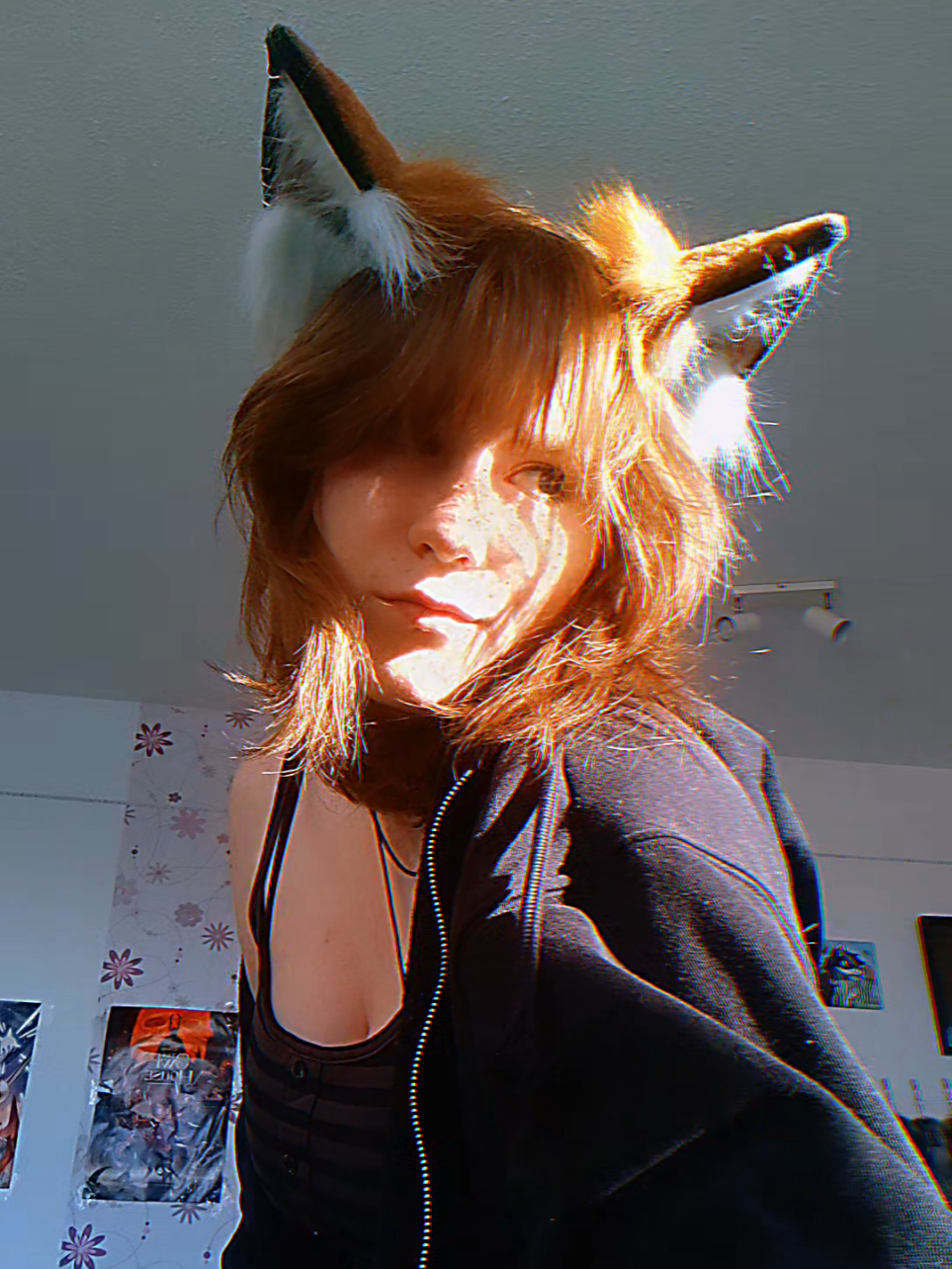 @Skylight_Fox