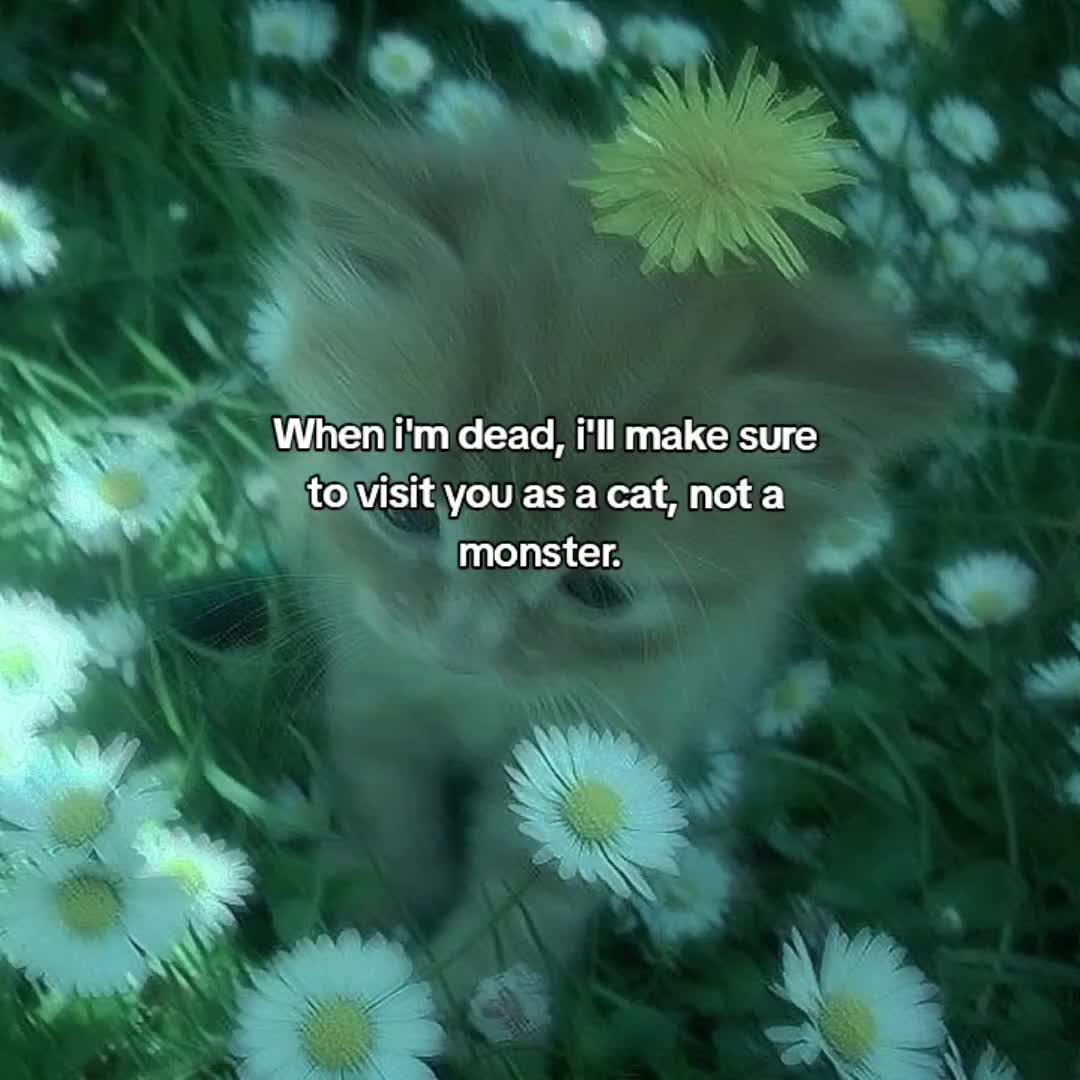 @꧁˃𝘓𝘐𝘓𝘐𝘛𝘏<˃͈◡˂͈ //!!☆