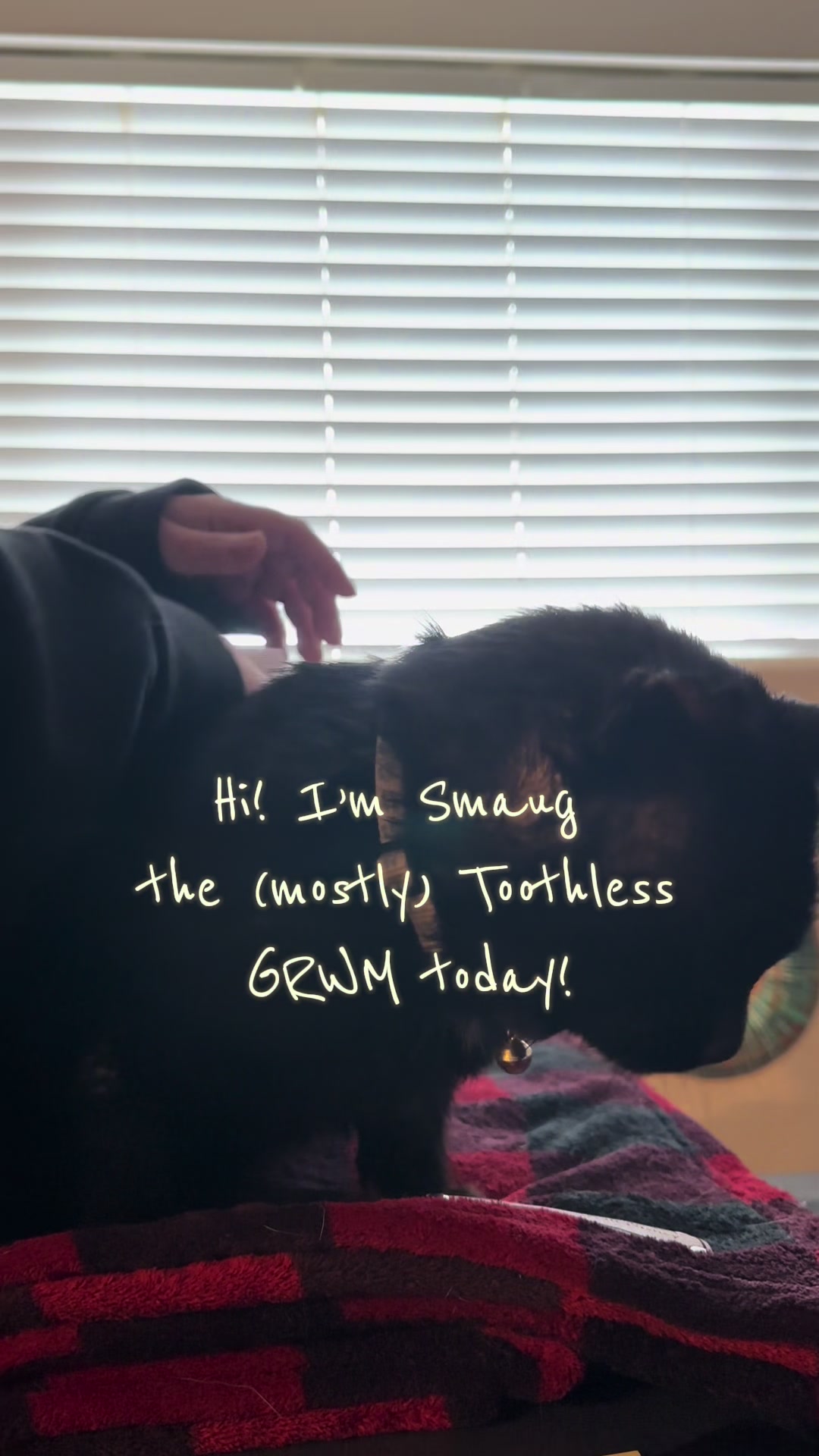 @juicyjorts