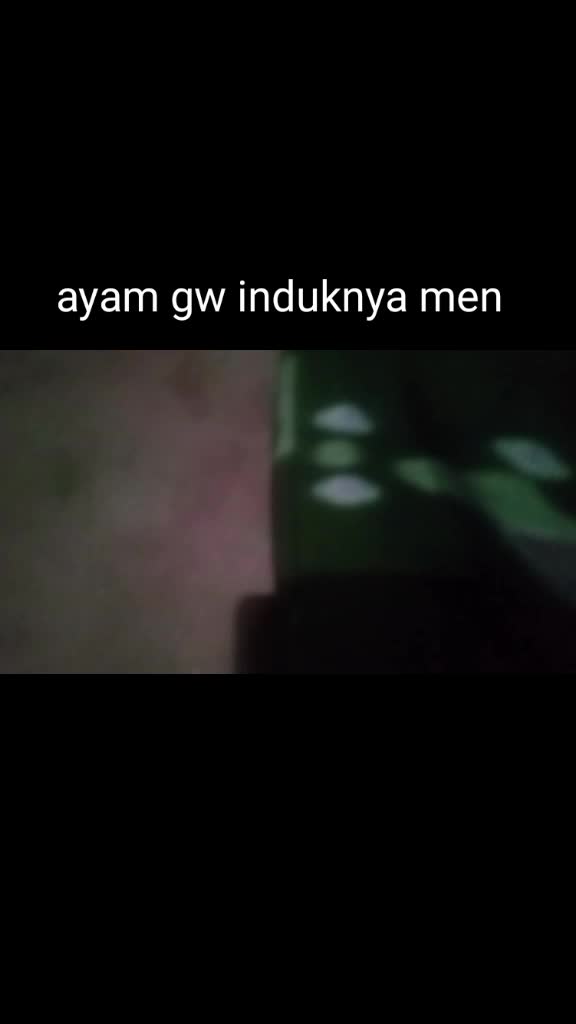 @user00462269513