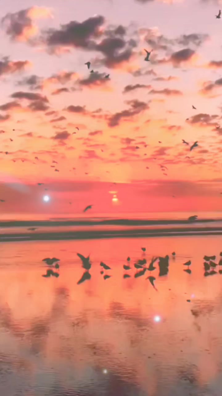 @🦋