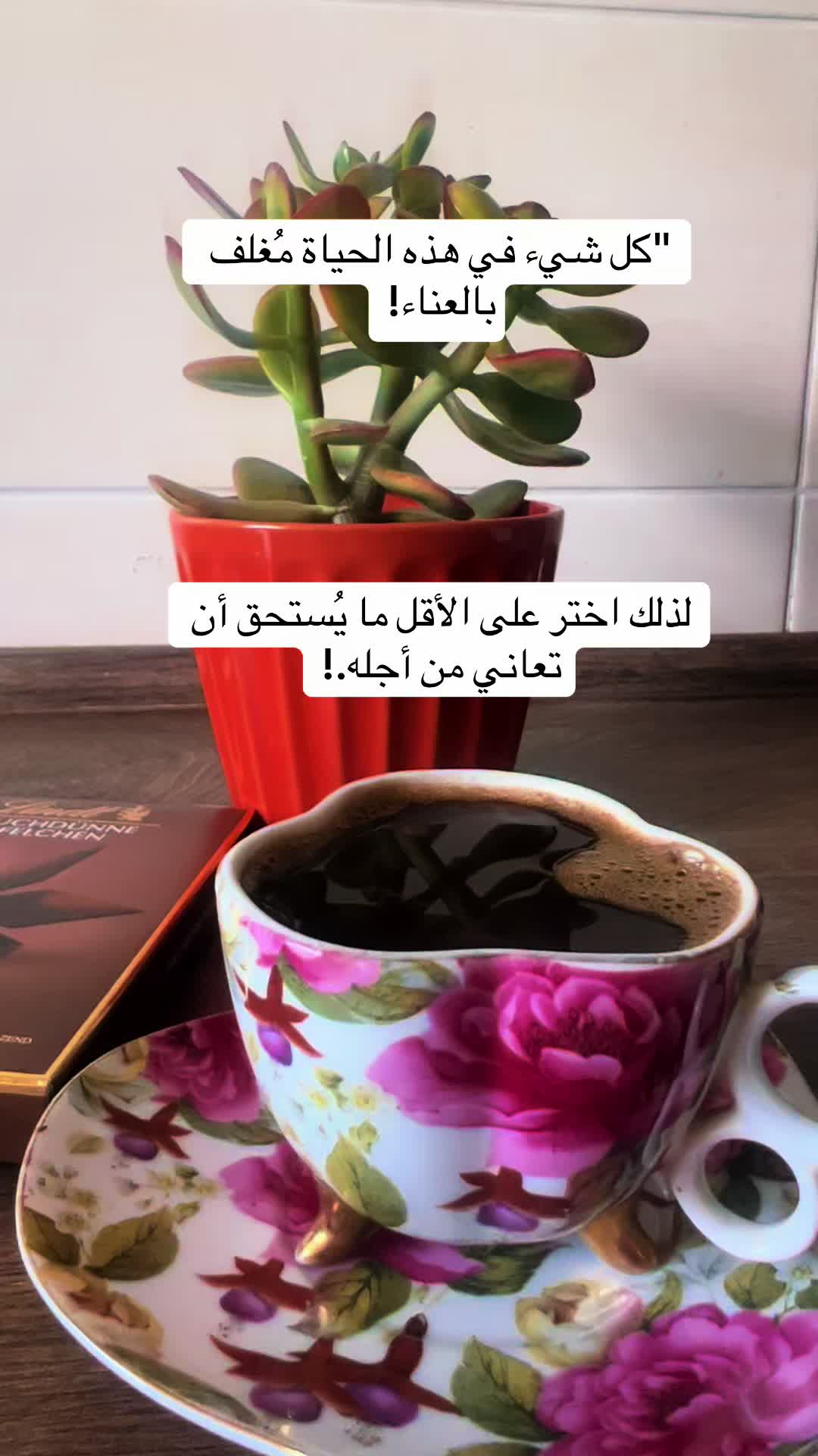 @tuteh🌷