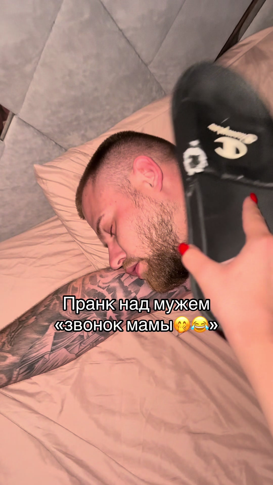 @ok_shevchiki