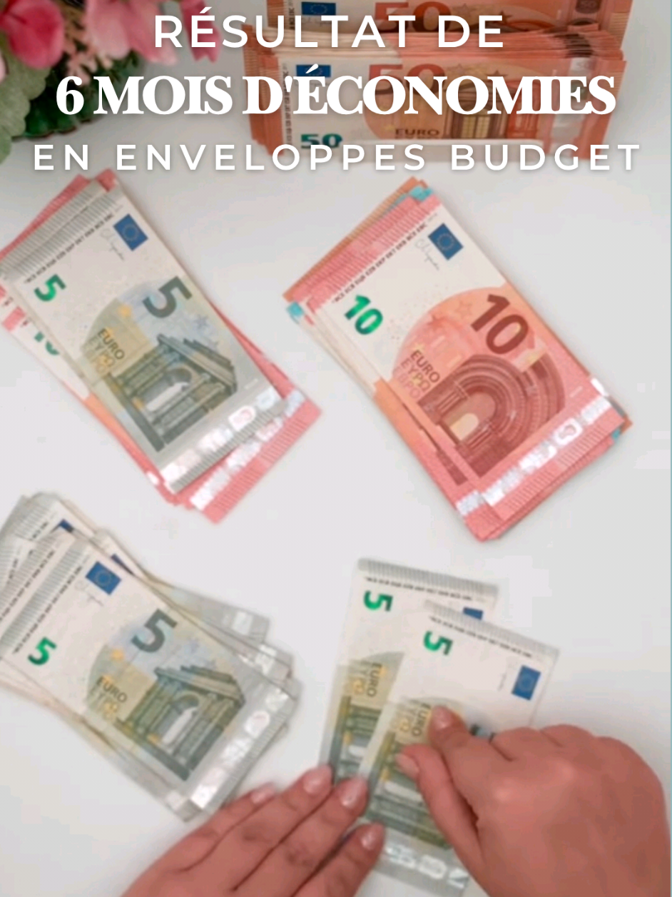 @BudgetDiary
