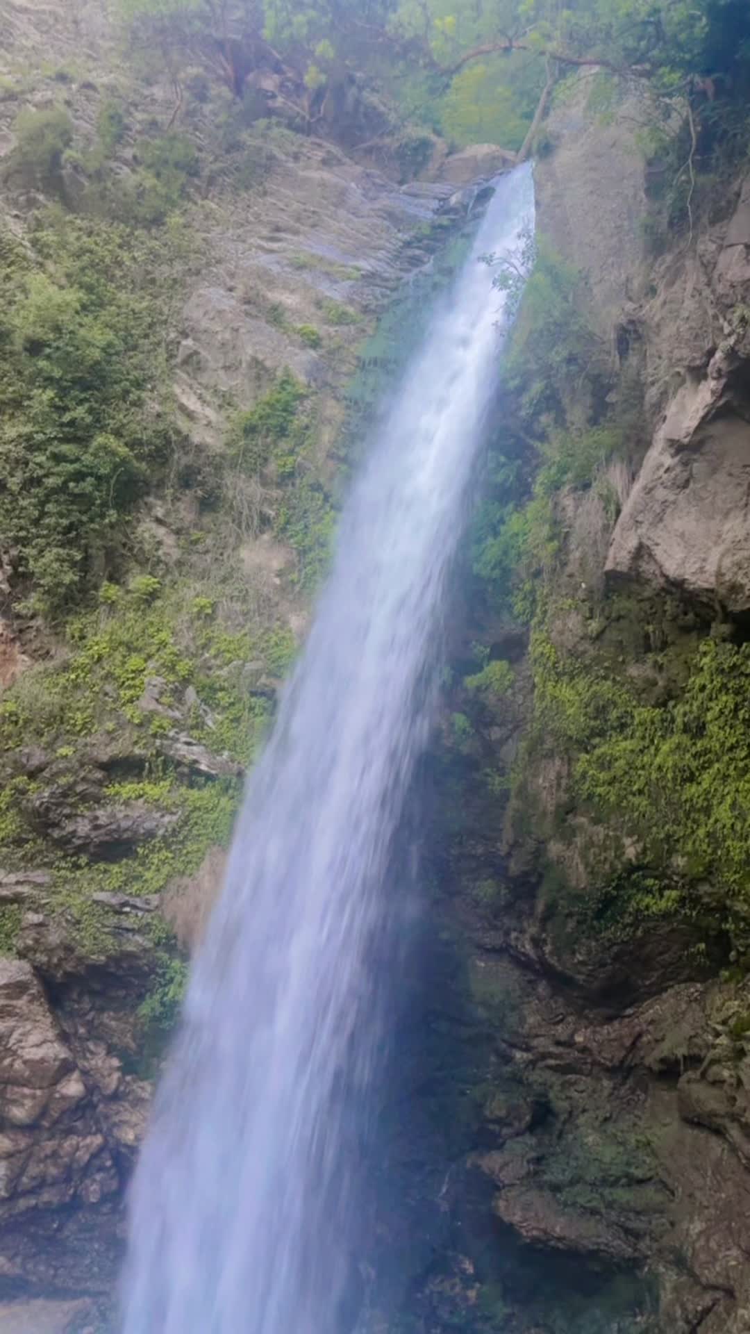 @Sonkalsin