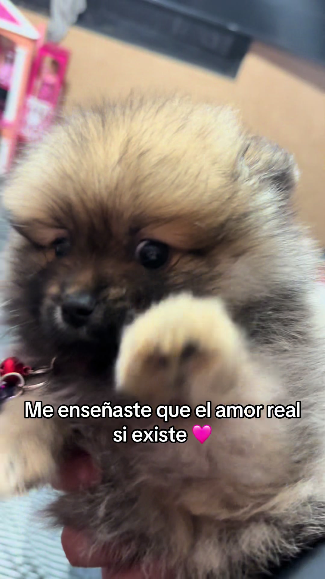 @Wenn García ✨